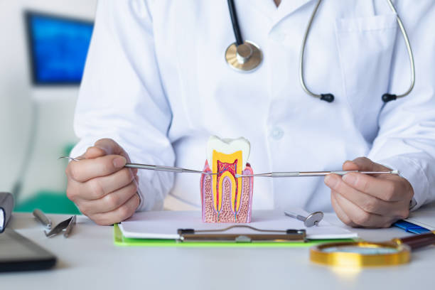 Best Orthodontic Emergency Dentist in Agua Dulce, CA